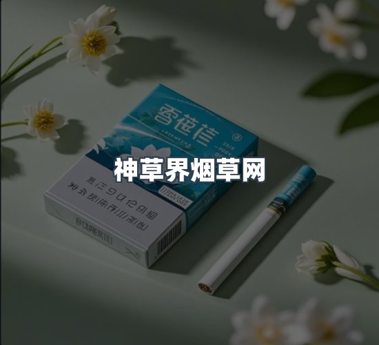 关于神草界烟草网